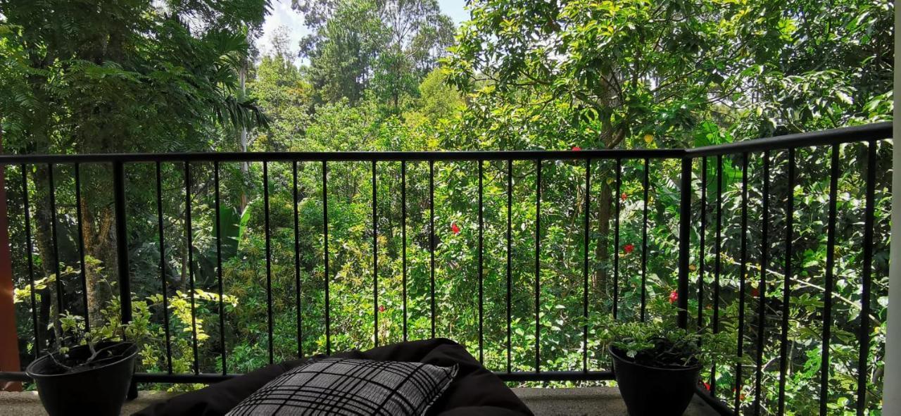 Tantra Ella Lodge Exteriér fotografie