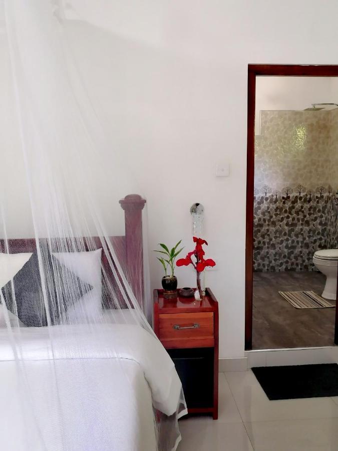 Tantra Ella Lodge Exteriér fotografie